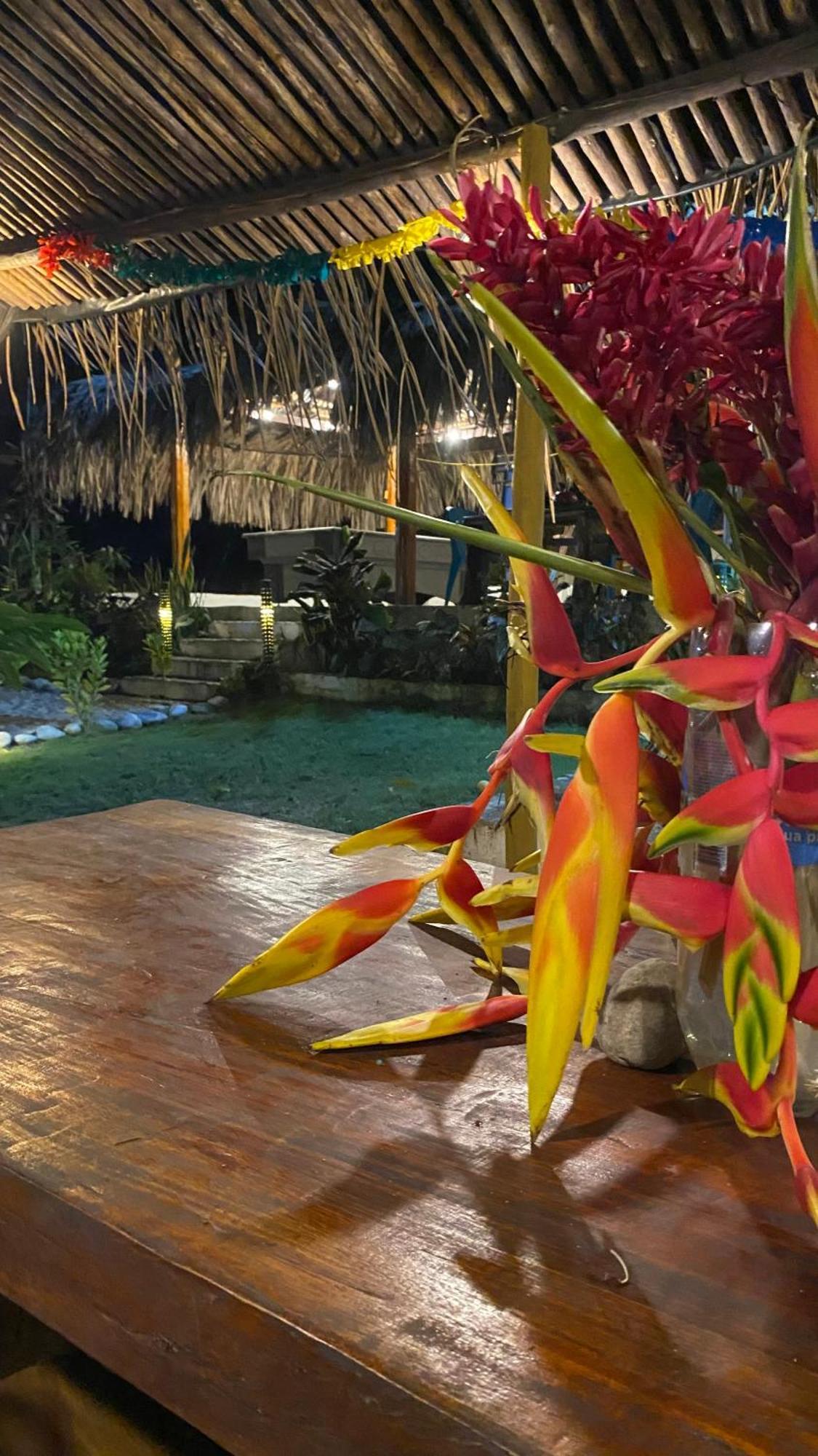 Wayanay Tayrona Eco HostZaino Exterior foto