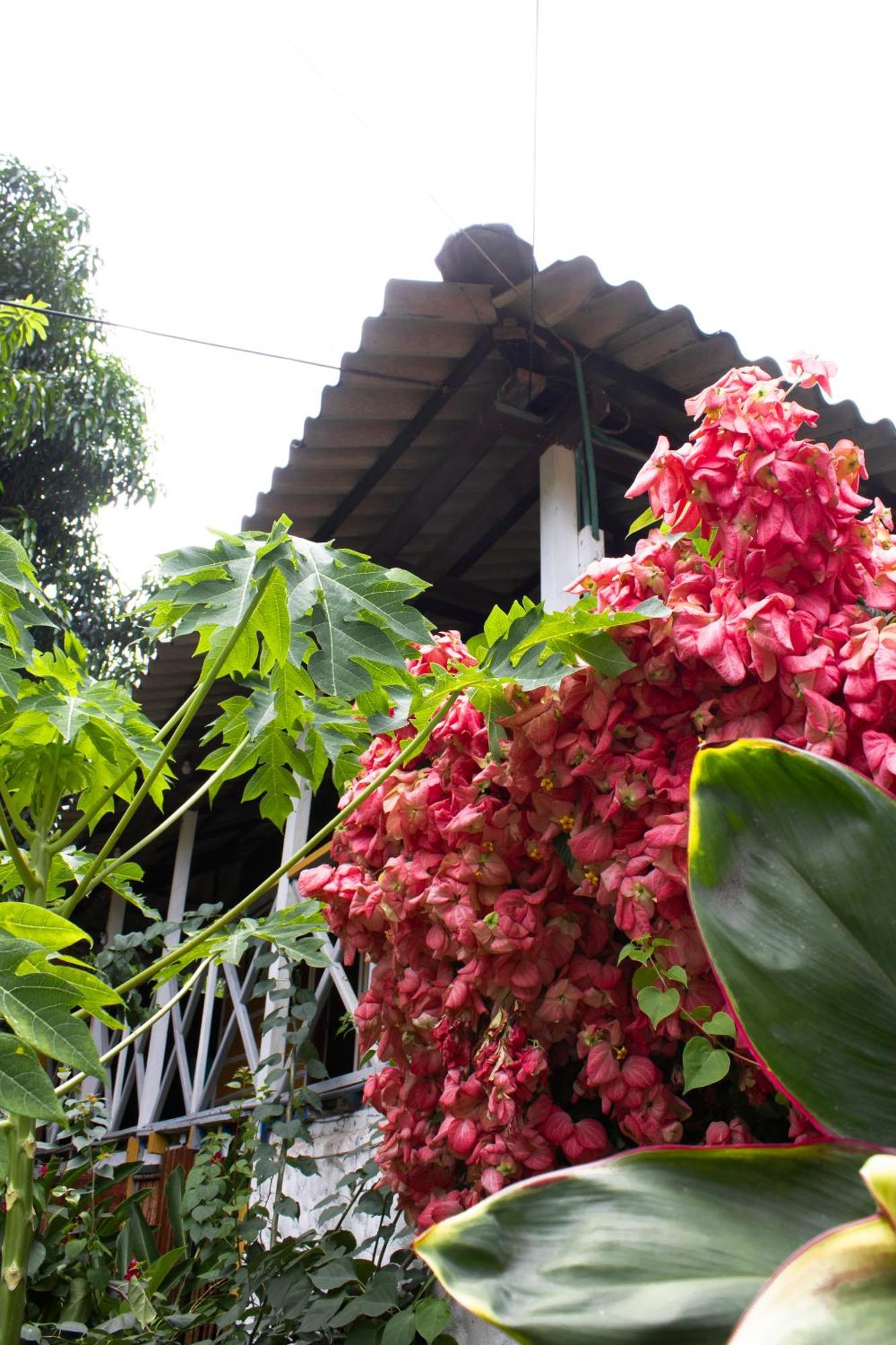 Wayanay Tayrona Eco HostZaino Exterior foto