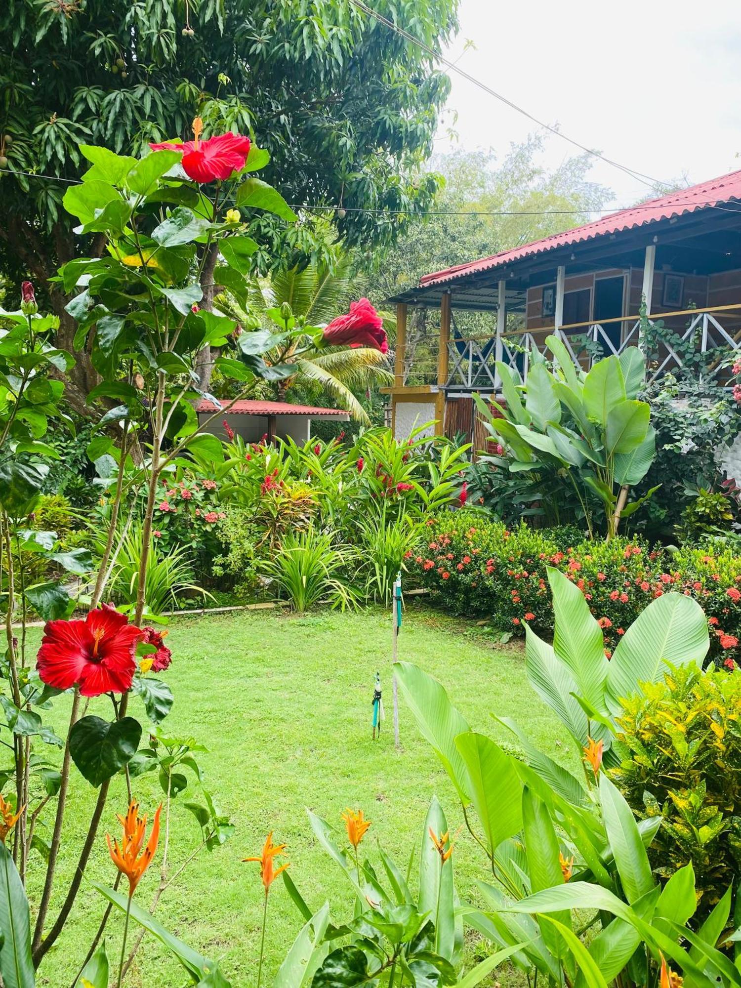 Wayanay Tayrona Eco HostZaino Exterior foto