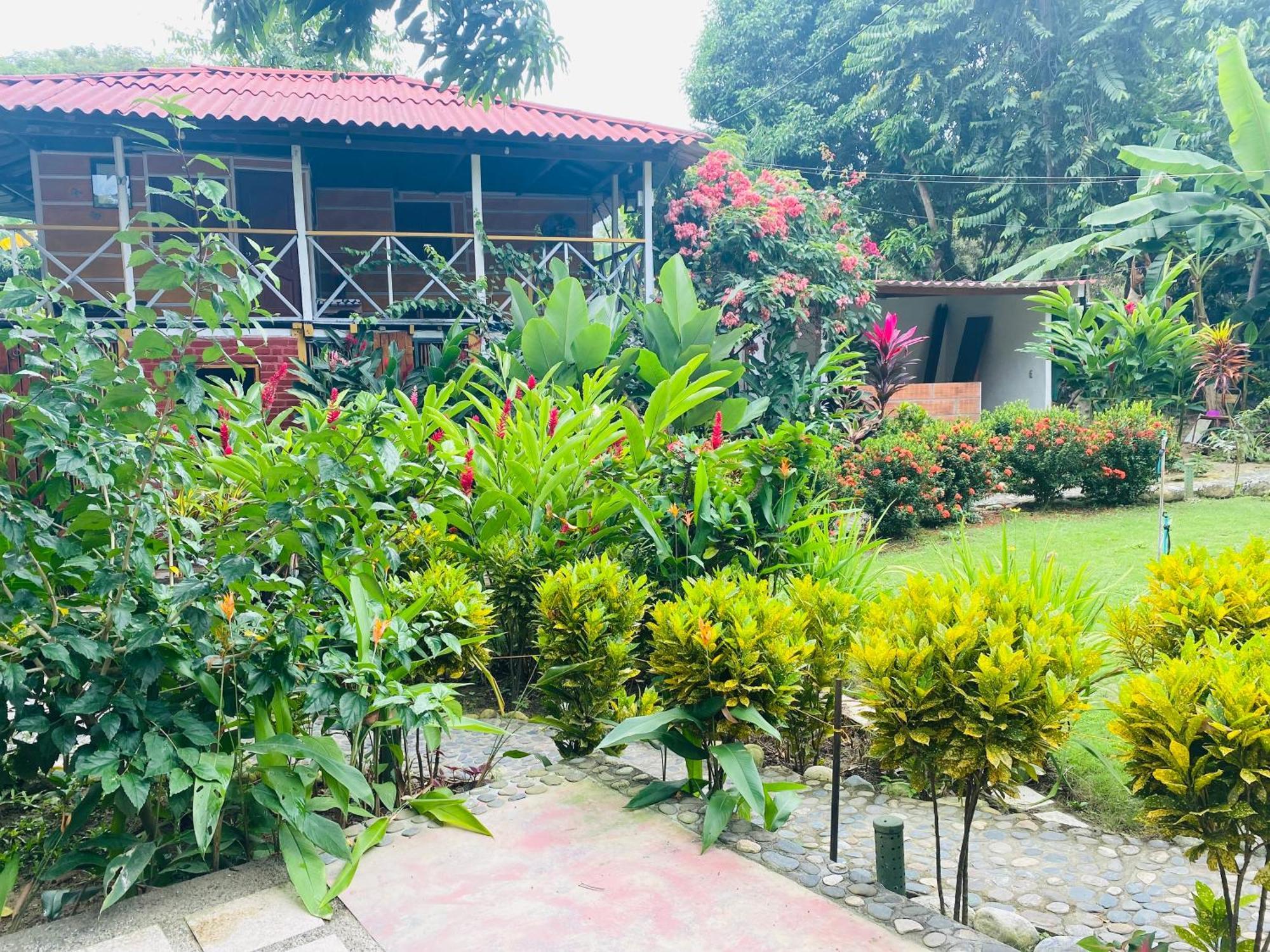 Wayanay Tayrona Eco HostZaino Exterior foto