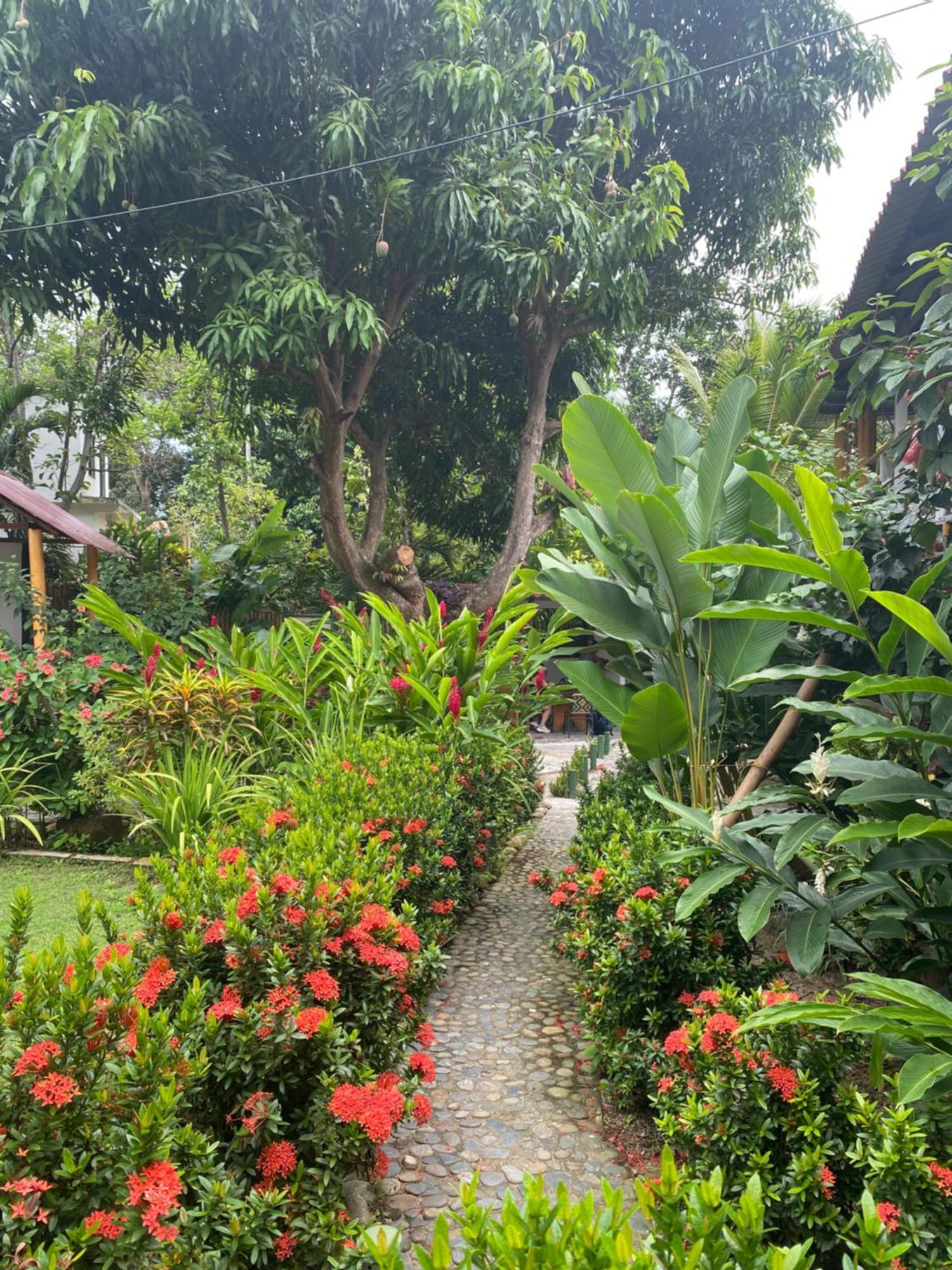 Wayanay Tayrona Eco HostZaino Exterior foto