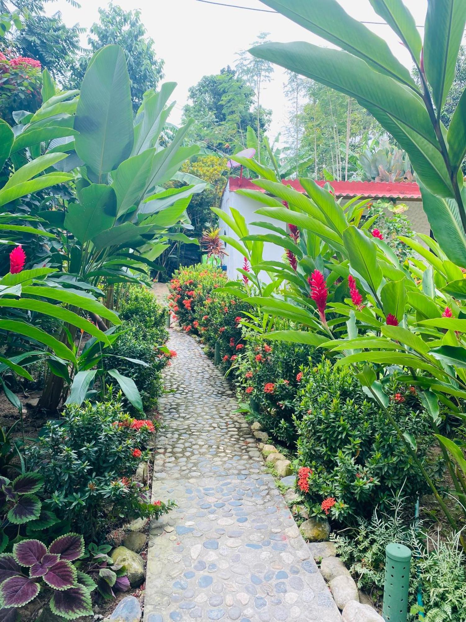 Wayanay Tayrona Eco HostZaino Exterior foto